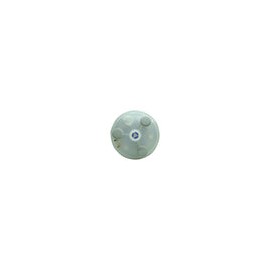 BL0T1B00H1 - Carel - Cilindro para humidificador