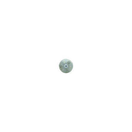 BL0T1B00H1 - Carel - Cilindro para humidificador